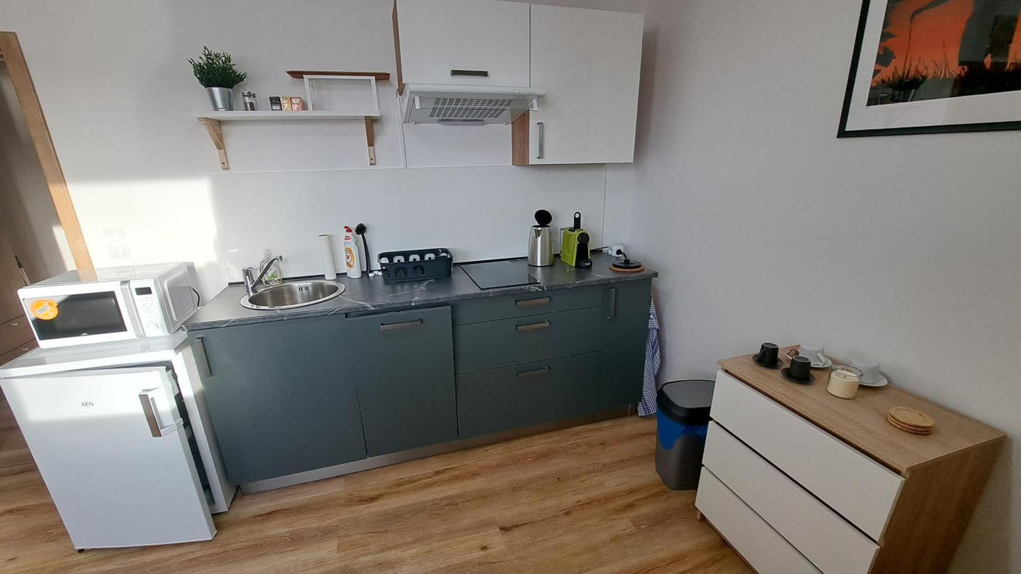 - Male Lipno Apartment Cerna v Posumavi