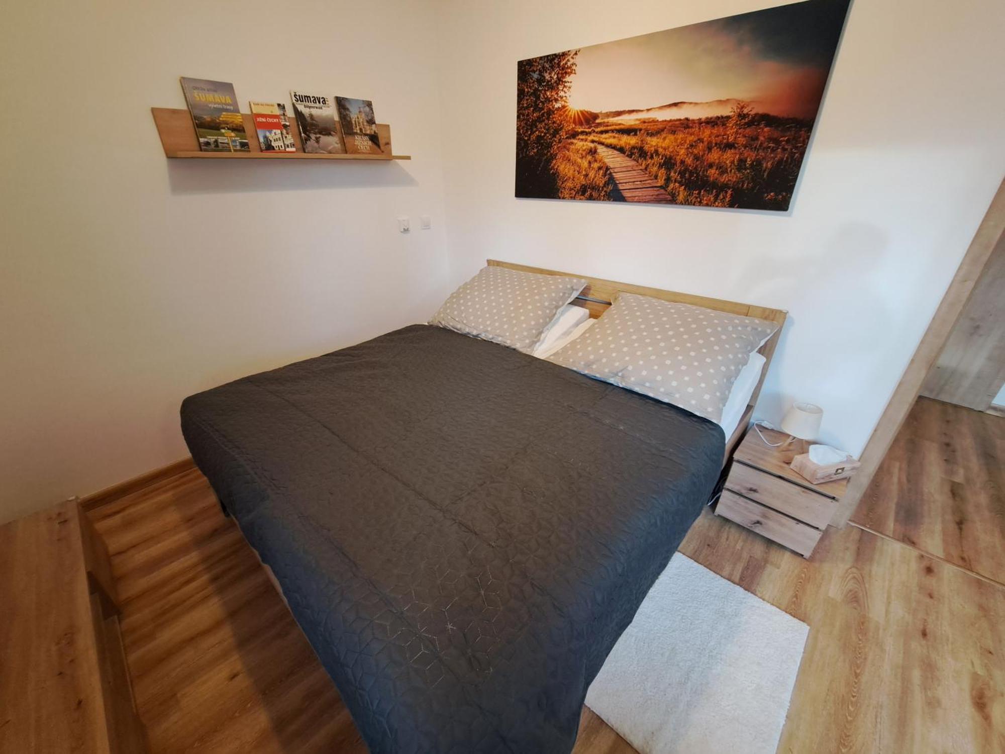 Apartment - Male Lipno Cerna v Posumavi